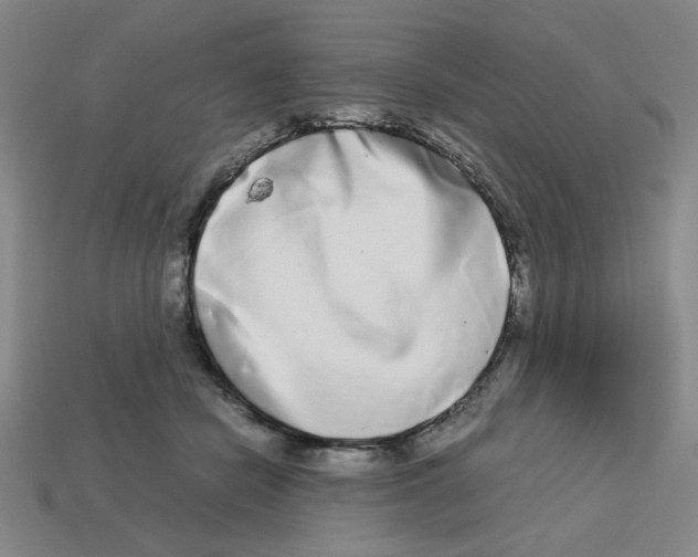 X0000112790462200910021103