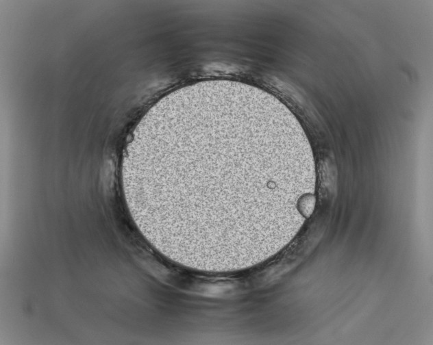 X0000112790463200910021103