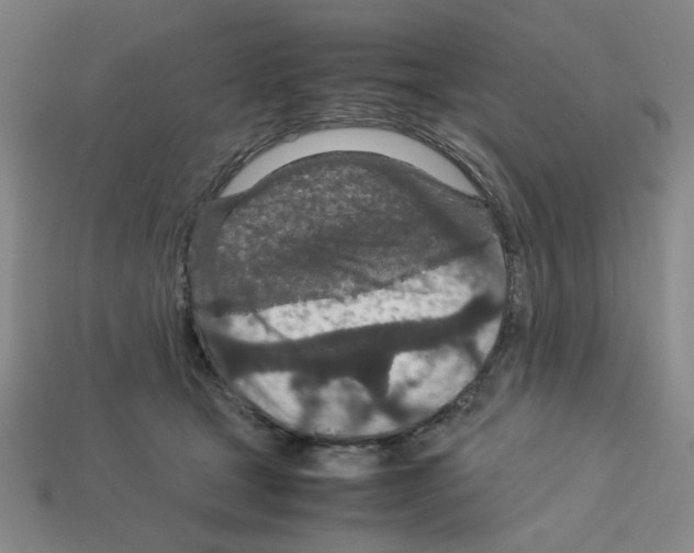 X0000112790465200910021103