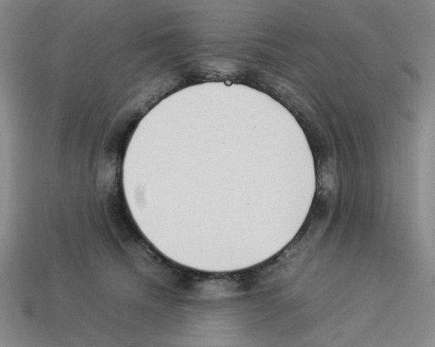 X0000112790468200910021103