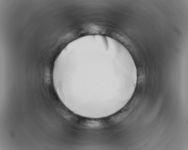 X0000112790469200910021103