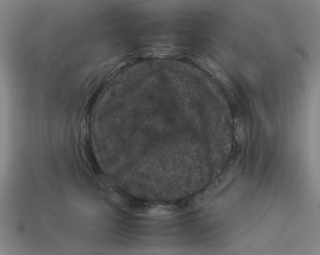 X0000112790471200910021103