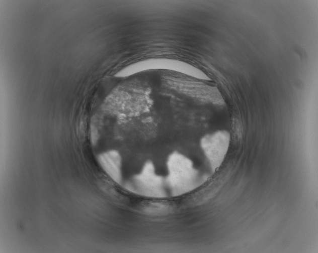 X0000112790475200910021103