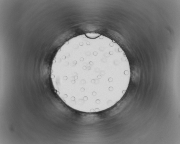 X0000112790476200910021103