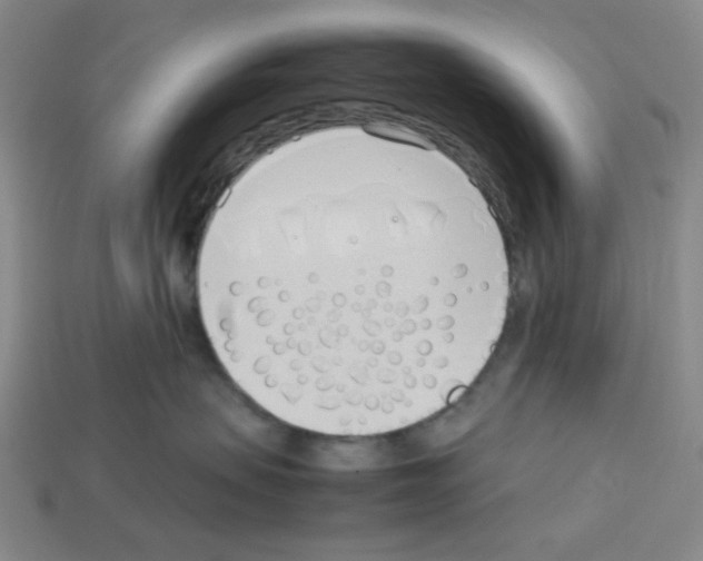 X0000112790479200910021103