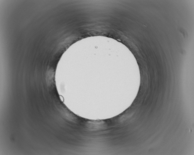 X0000112790480200910021103