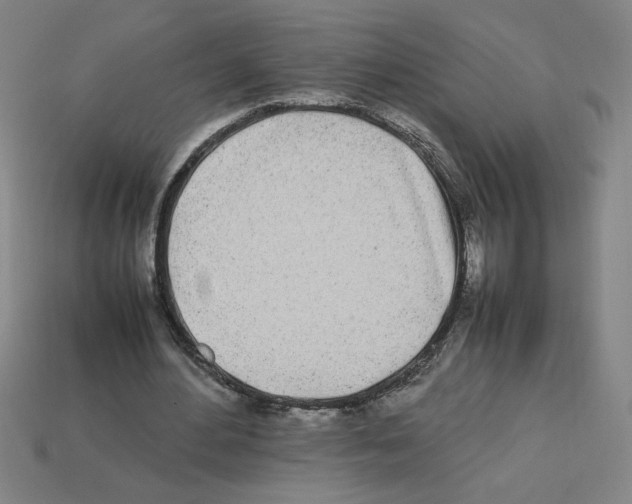 X0000112790484200910021103