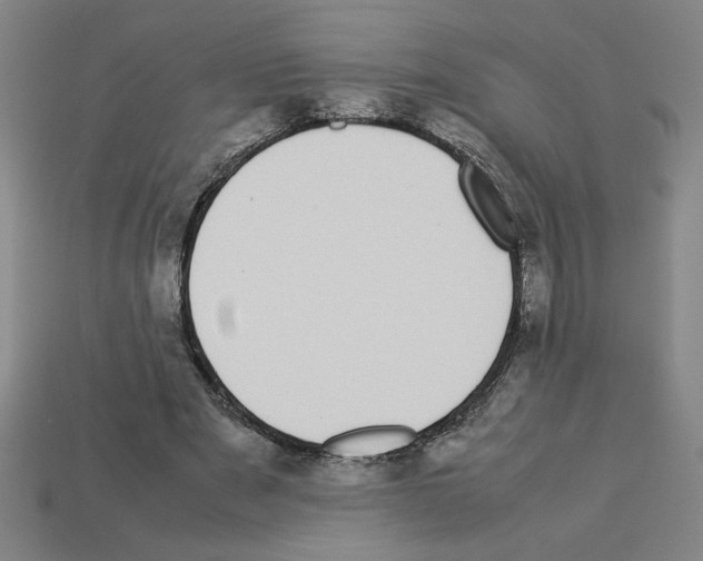 X0000112790489200910021103