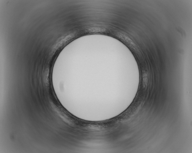 X0000112790490200910021103