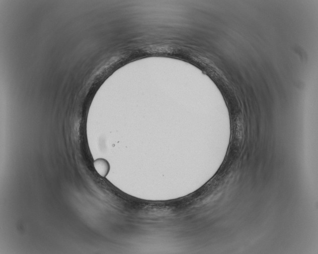 X0000112790491200910021103