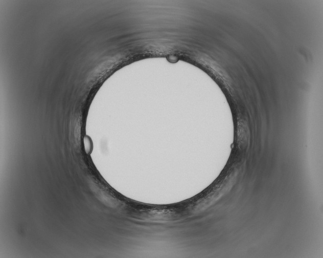 X0000112790493200910021102