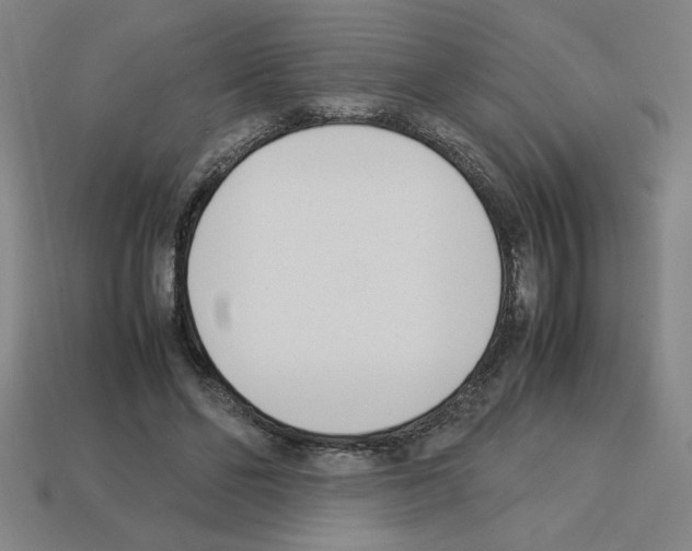 X0000112790494200910021102