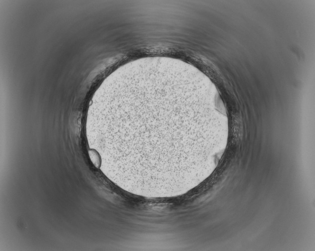 X0000112790495200910021102