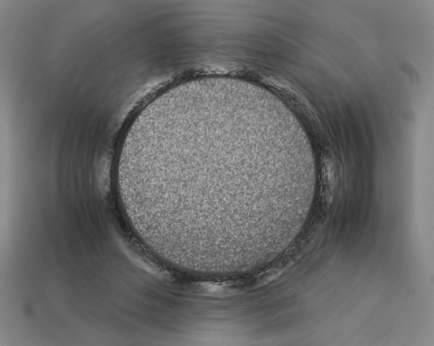 X0000112790496200910021102