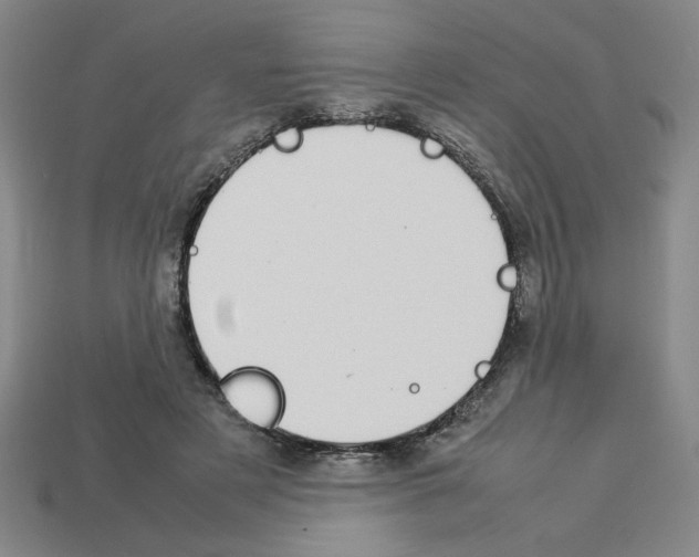 X0000112790497200910021102