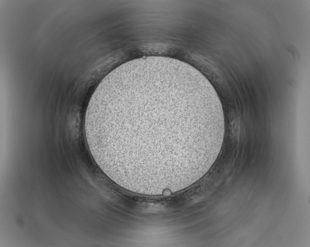 X0000112790498200910021102