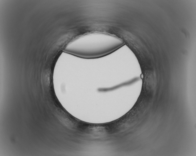 X0000112790501200910021102