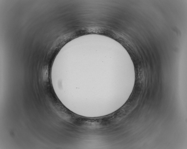 X0000112790502200910021102