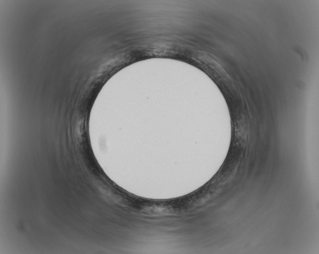 X0000112790503200910021102