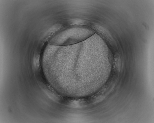 X0000112790504200910021102