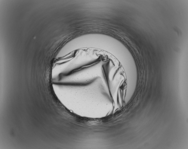 X0000112790505200910021102