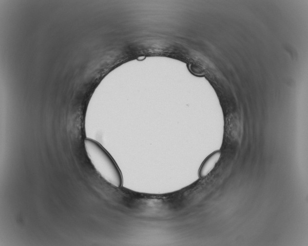 X0000112790509200910021102