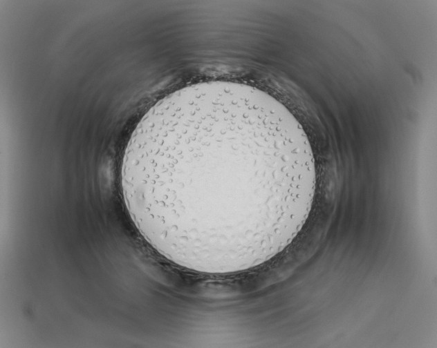 X0000112790510200910021102