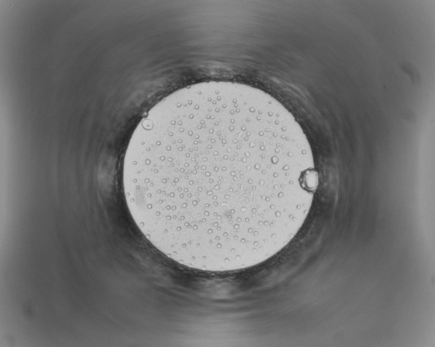 X0000112790511200910021102