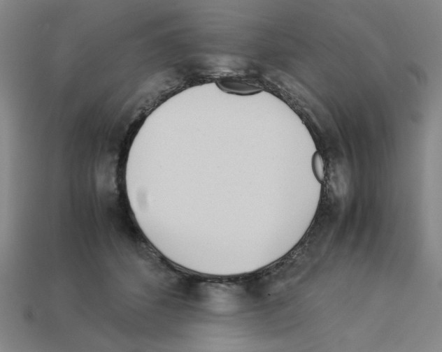 X0000112790512200910021102