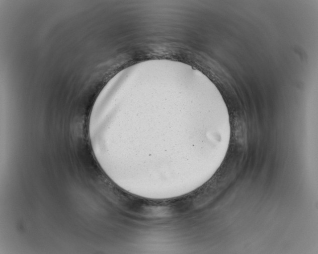 X0000112790514200910021102