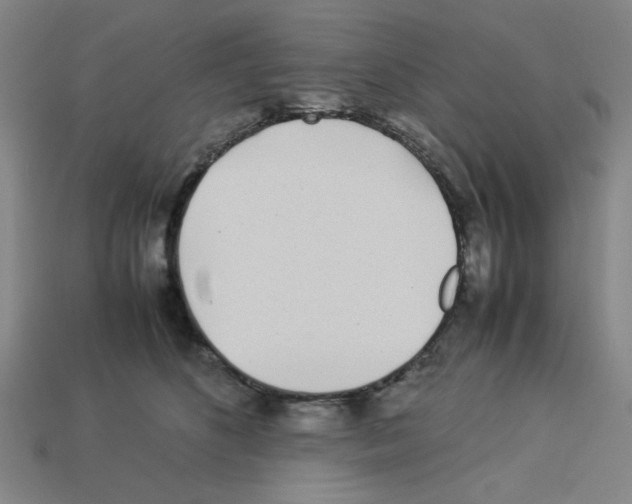 X0000112790516200910021102