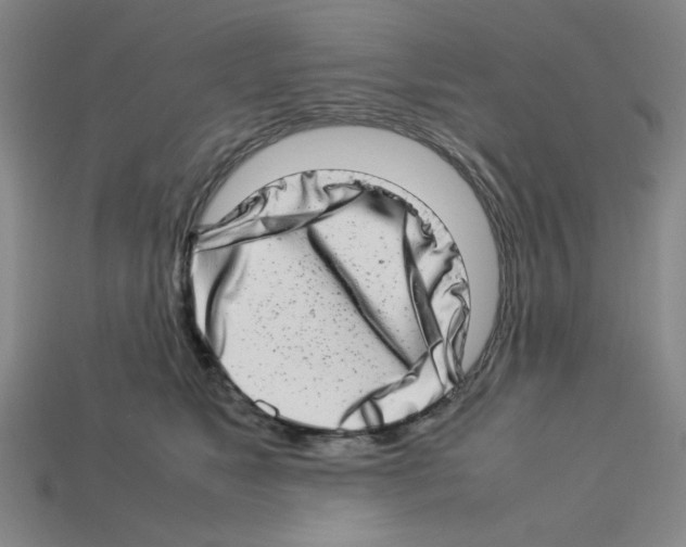 X0000112790517200910021102