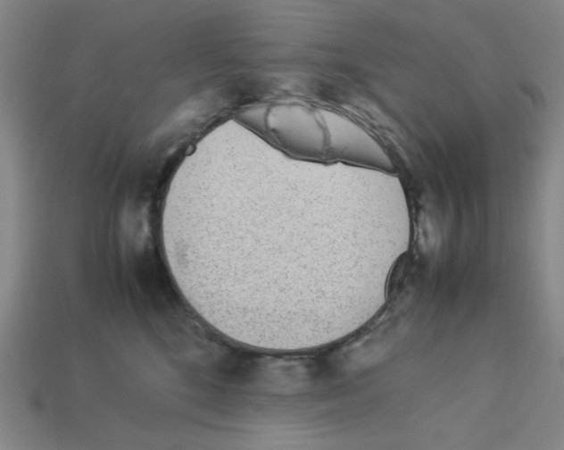 X0000112790520200910021102