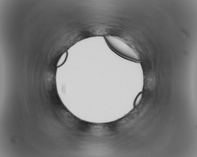 X0000112790521200910021102