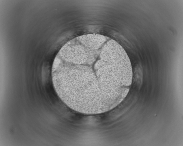 X0000112790522200910021102