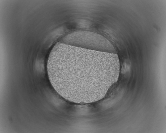 X0000112790524200910021102