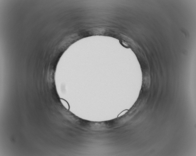 X0000112790525200910021102