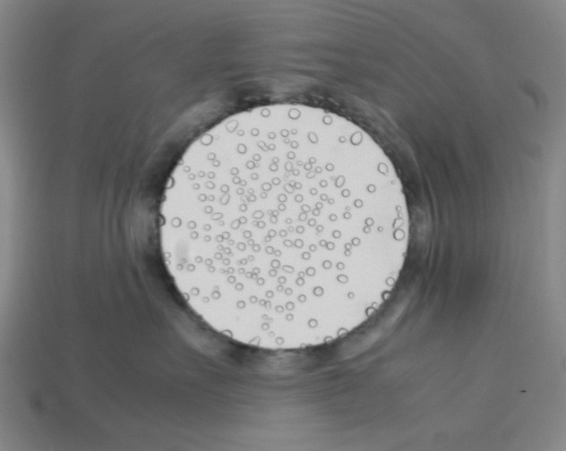 X0000112790527200910021102