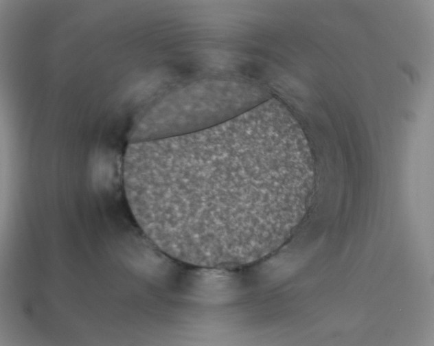 X0000112790528200910021102