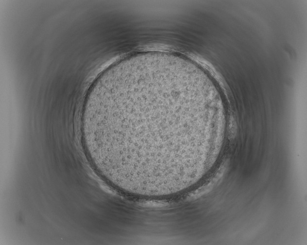 X0000112790529200910021101