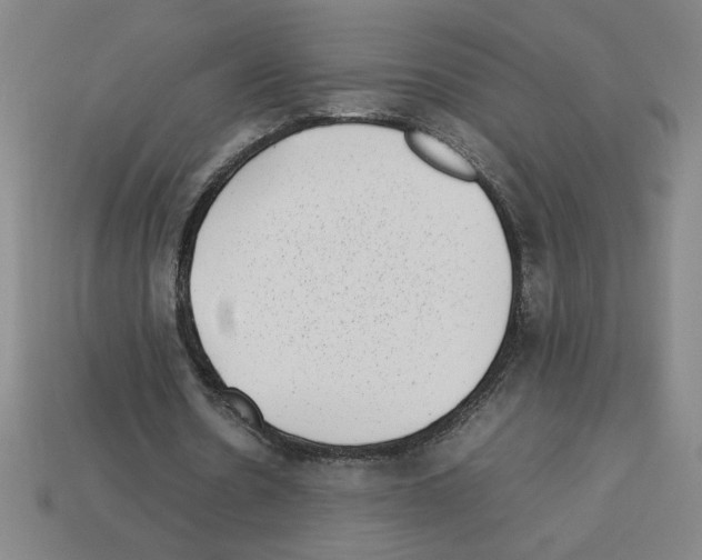 X0000112790530200910021101