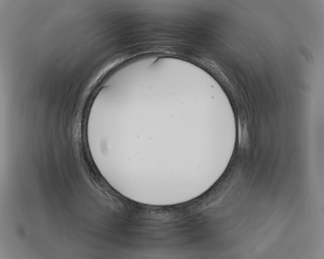 X0000112790531200910021101