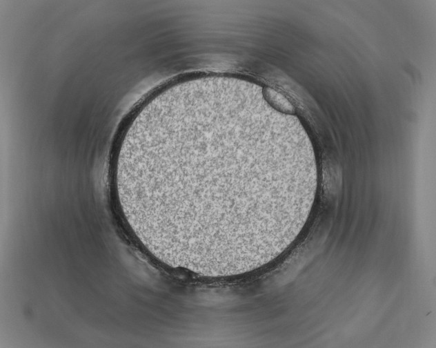 X0000112790532200910021101