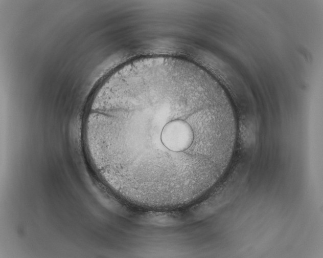 X0000112790534200910021101