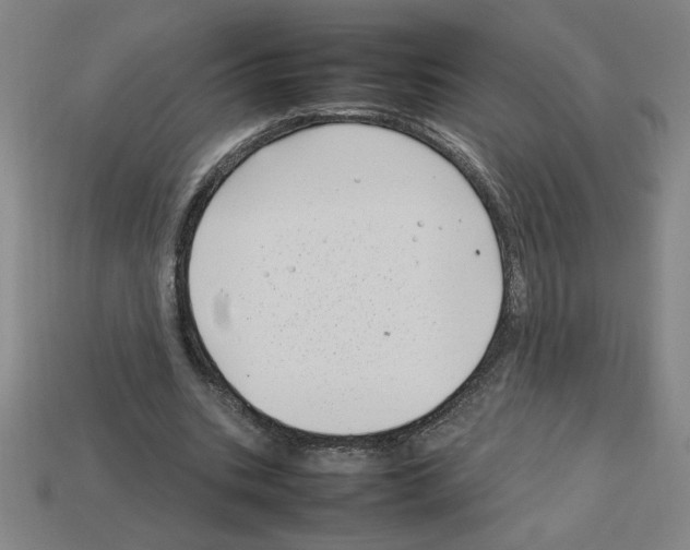 X0000112790535200910021101