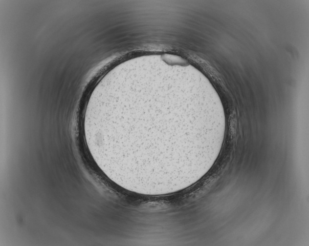 X0000112790536200910021101