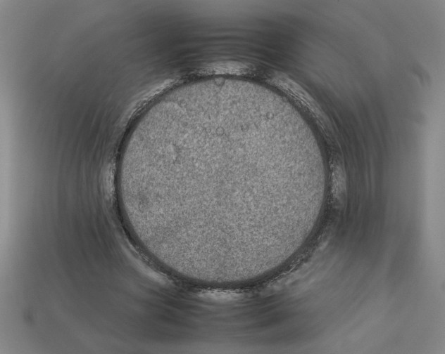 X0000112790537200910021101