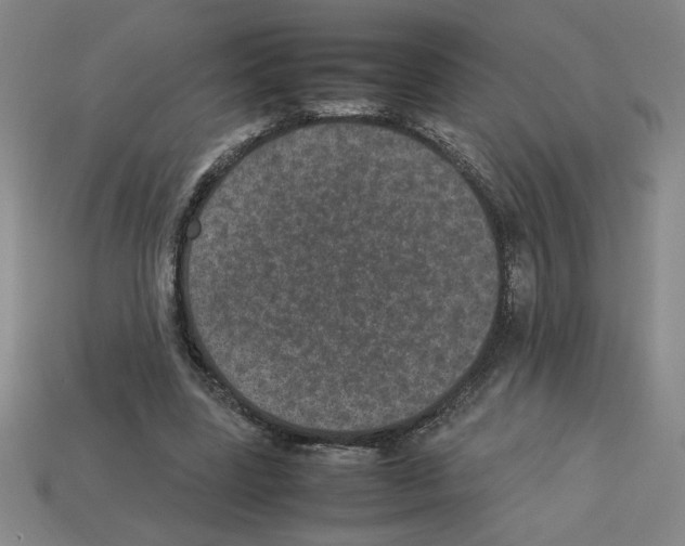 X0000112790539200910021102