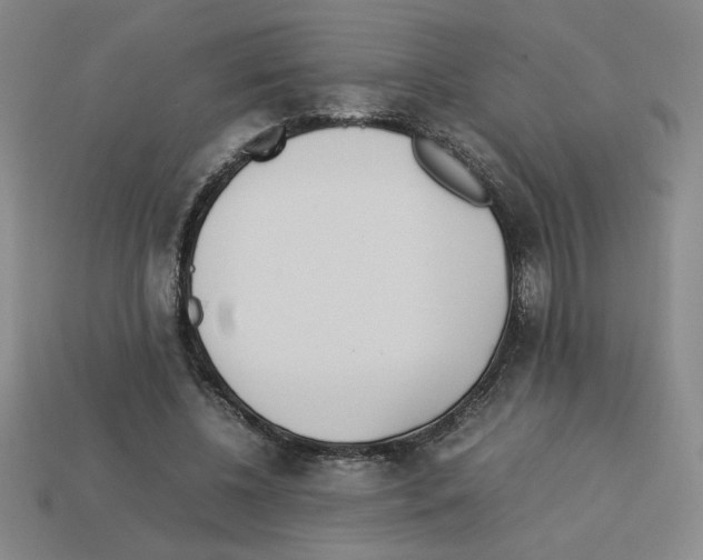 X0000112790540200910021102