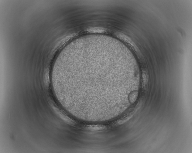 X0000112790541200910021102